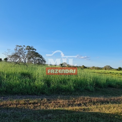Fazenda 266 alqueires (1.287 hectares) Dueré TO