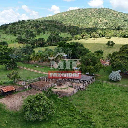 Fazenda para pecuária 80 alqueires ( 387 hectares ) Pilar de Goiás