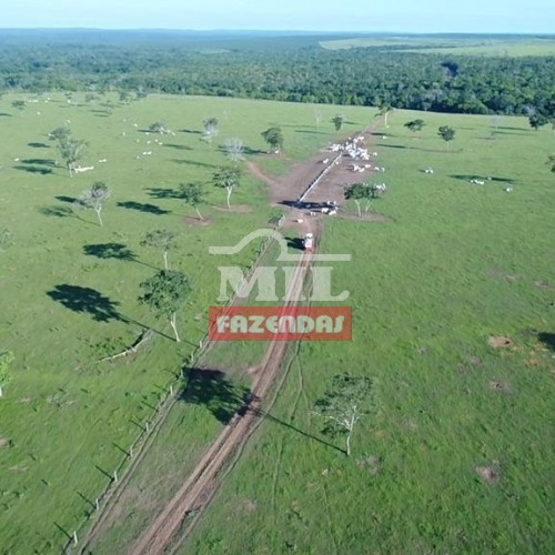 Fazenda de 1.300 alqueires (6.280 hectares) em Paranatinga- MT