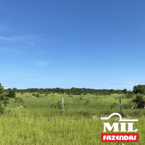 Fazenda 310 alqueires (1.500 hectares) no Cocalinho - Mato Grosso