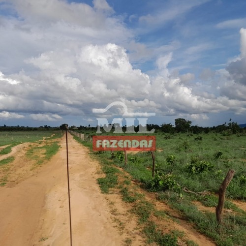 Fazenda em Araguaçu-TO. (125 Alqueires) Toda Agricultável