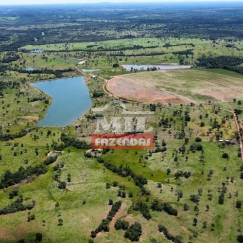 Fazenda pecuária com pivô 242 alqueires ( 1.171 hectares ) Crixas-GO