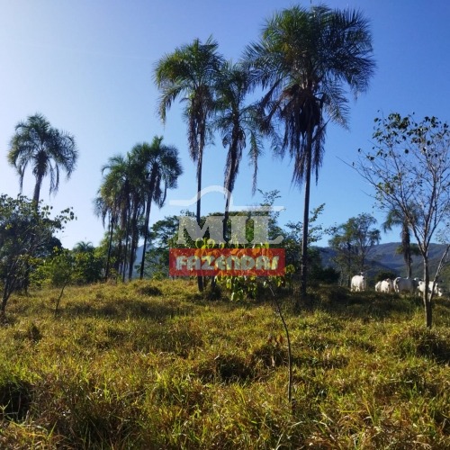 Fazenda de Cultura em Niquelândia-GO. (316 Alqueires)