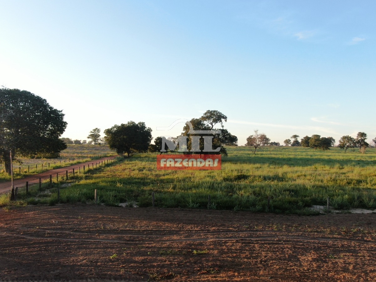 Mil Fazendas Fazenda Irrigada Em Jussara Go Alqueires