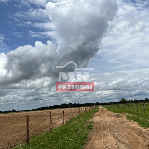 Fazenda de 660 alqueires (3.195 hectares) em Araguaiana-Mato Grosso