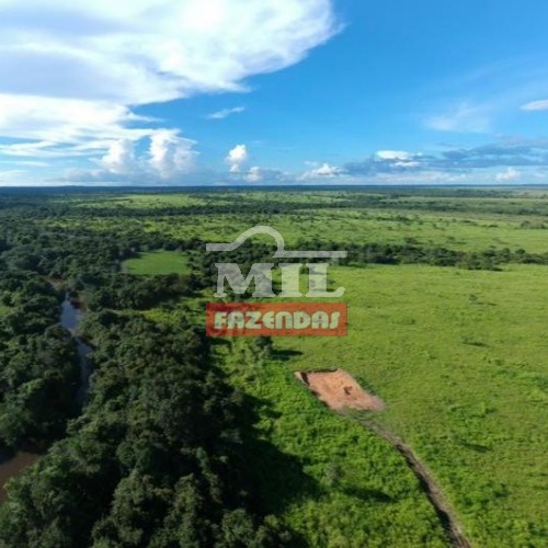 Fazenda de 454 alqueires ( 2.201 hectares) em Colinas do Tocantins To