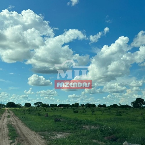 Fazenda de 450 alqueires (2.178 hectares) no Cocalinho - Mato Grosso