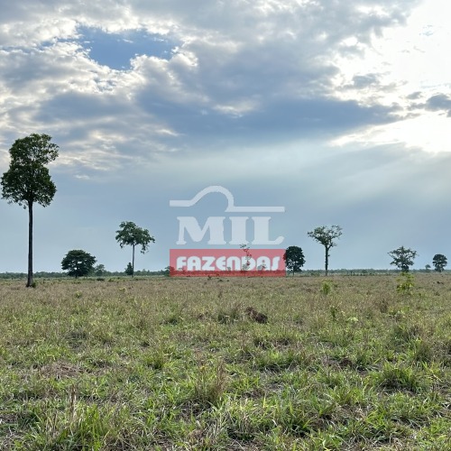 Fazenda de 1612 alqueires (7.802 hectares) em Cocalinho - Mato Grosso