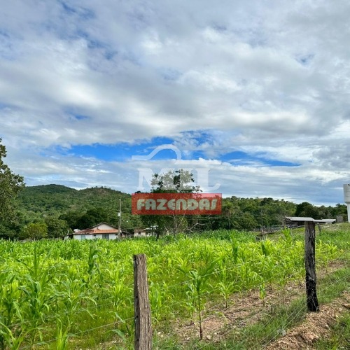 Fazenda com 98 Alqueires (474,32 Há ) em Nova Iguaçu-GO