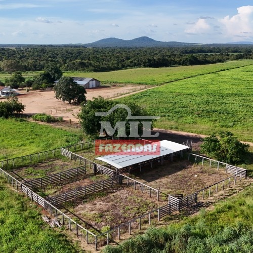 Fazenda 187 alqueires ( 905.08 hectares ) Município de Crixas do Tocantins.