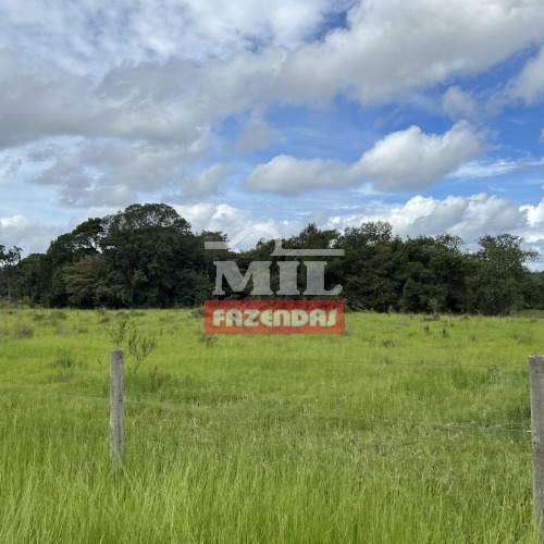 Fazenda de 2890 alqueires (13.979 hectares) no Cocalinho - Mato Grosso