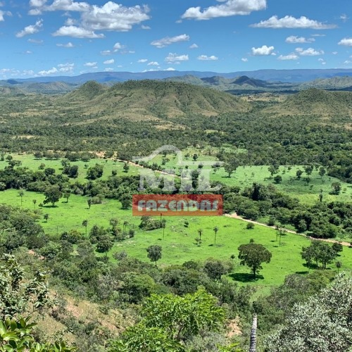 Fazenda 92 alqueires (445 hectares) Niquelândia-Goiás.
