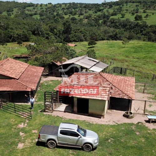 Fazenda para Pecuária Rubiataba - GO 28 alq. (135,52 hectares)