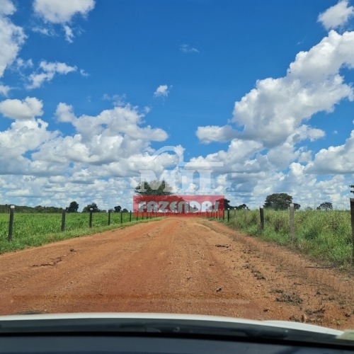 Fazenda dupla aptidão 714 alqueires (3.458 hectares) Vale do Araguaia-TO