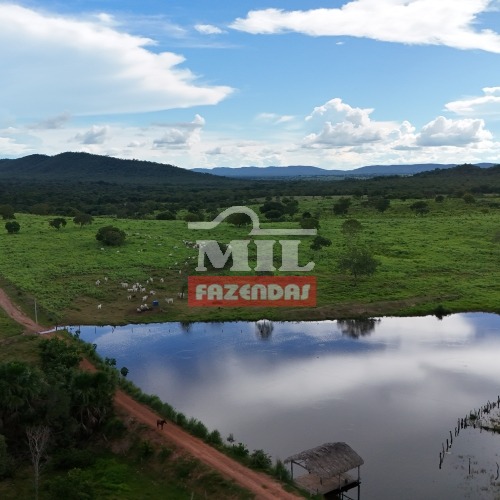 Fazenda 87 alquieres ( 421 hectares- São Salvador do Tocantins!