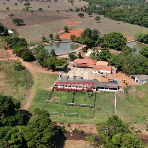 Fazenda Dupla aptidão 36.5 alqueires ( 176 hectares ) Pirenópolis-GO