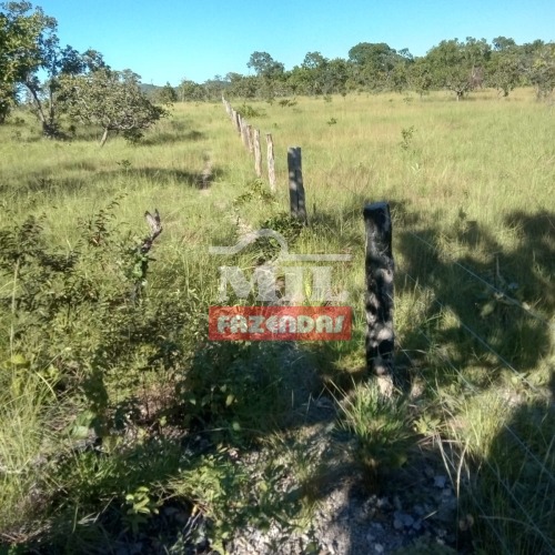 Fazenda de 965 alqueires (4.666 hectares) em Araguapaz GO