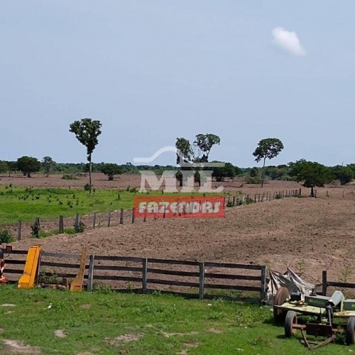 Fazenda p/ Agricultura - Centro Tocantins (413 Alqueires)