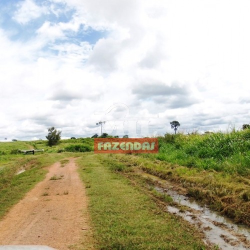 Fazenda em Tucuruí-PA. (8.899 Há)