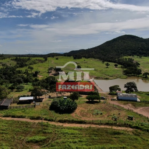 Fazenda 52 alqueires ( 251,68 hectares ) Uruaçu-GO