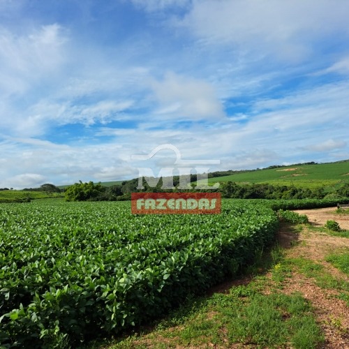 Fazenda 33,3 alqueires ( 161,34 hectares ) Ipameri-GO