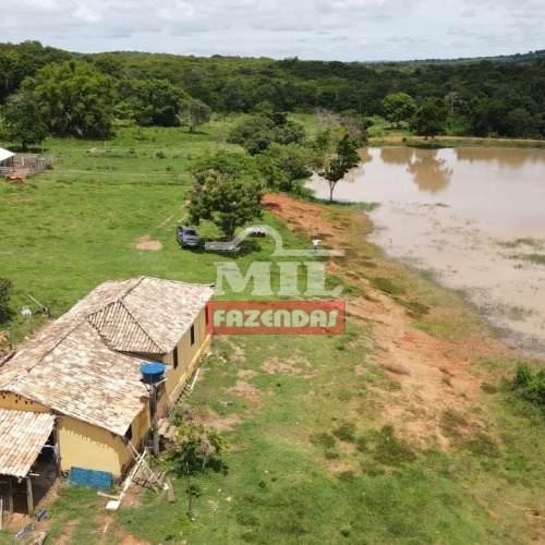 Fazenda no Município de Goiás velho 37 alqueires (179 HÁ)
