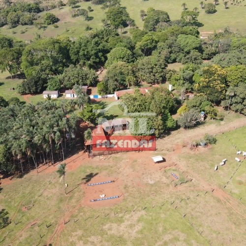 Fazenda de 14 alqueires (67.76 hectares) a 30 minutos de Goiânia-GO.