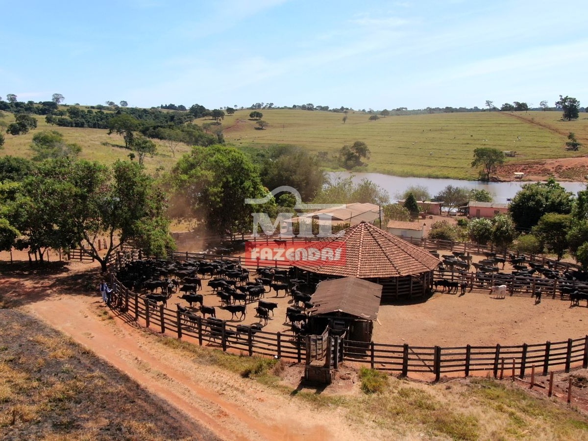 Mil Fazendas Fazenda 60 Alqueires 290 Hectares Itaguari GO