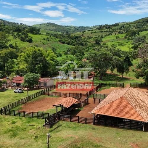 Fazenda de cultura 90 alqueires ( 435 hectares) Goianésia-GO