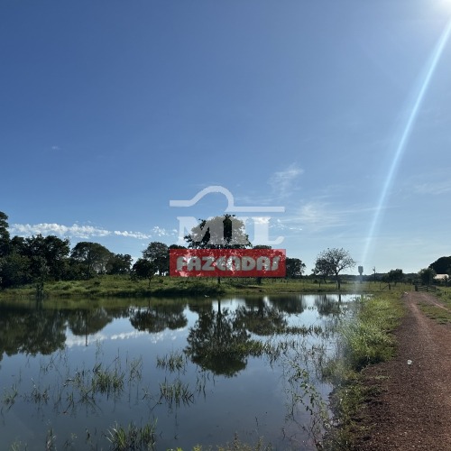 Fazenda 45 alqueires ( 217 hectares) Formoso do Araguaia-TO