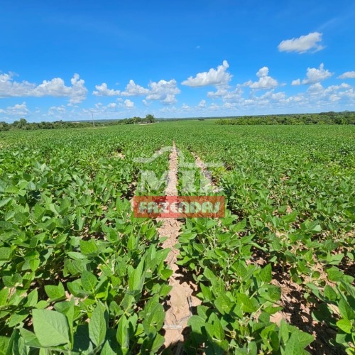 Fazenda com 12 alqueires (60 hectares) plantando soja em Agua Boa MT