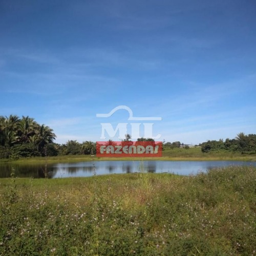 Fazenda 192 alqueires (934 hectares) Itapecuru Mirin - MA