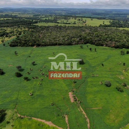 Fazenda 15 alqueires ( 72,6 hectares ) - Bela Vista de Goiás