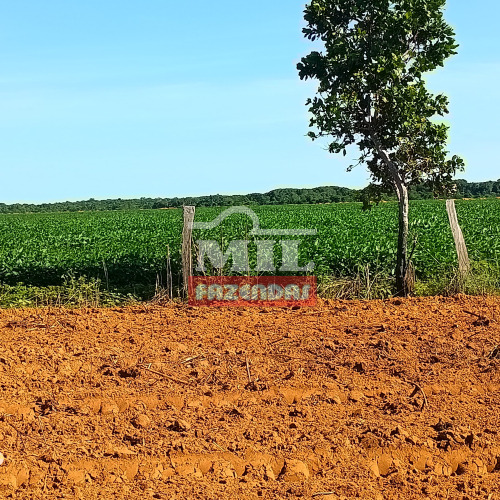 Fazenda 141 alqueires (682,44 hectares) Santa Rita do Tocantins - TO