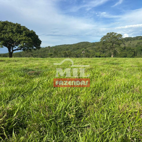 Fazenda 152 Alqueires (735,6 Hectares) Crixás - GO