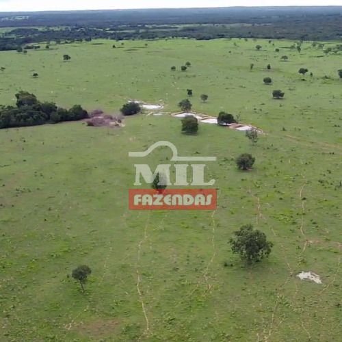 Fazenda 375 Alqueires (1.766 hectares) Araguaçu - TO