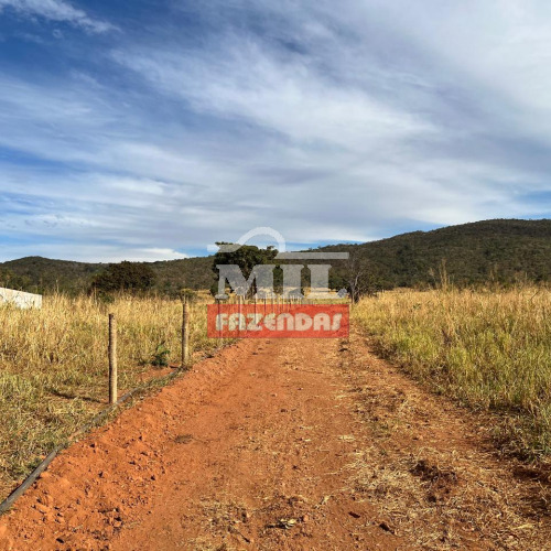 Fazenda 33 Alqueires (159,7 Hectares) Jaraguá - Go