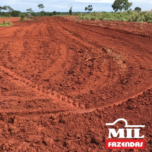 Mil Fazendas -Oportunidade!!!!!! ARRENDAMENTO AGRÍCOLA 