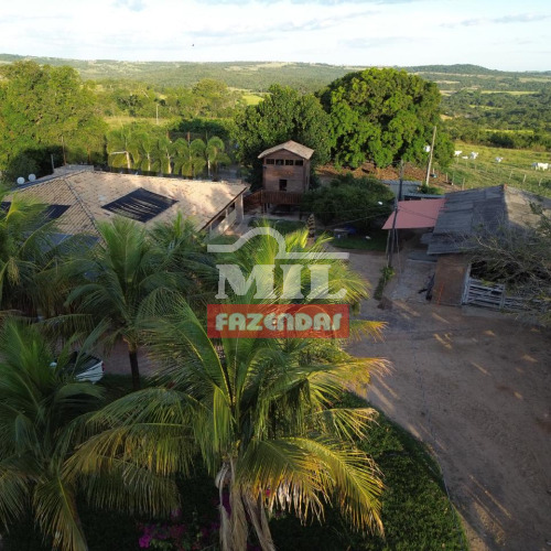Fazenda 60 Alqueires (290 hectares) Edeia - GO