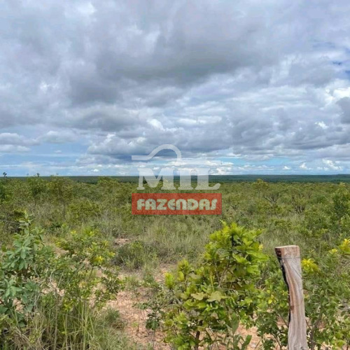 Fazenda 3.305 alqueires (16.000 hectares) alqueires Alto Parnaíba - MA