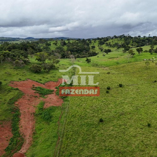 Chacara 4 alqueires  (19,36 hectares) Inhumas - Go