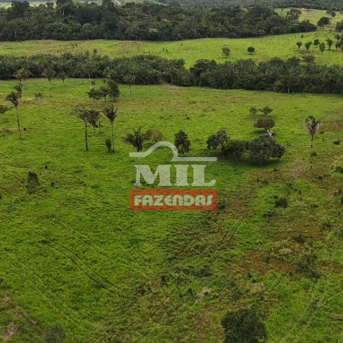 Fazenda 117 alqueires (566,2 hectares) São Geraldo do Araguaia – Pará.