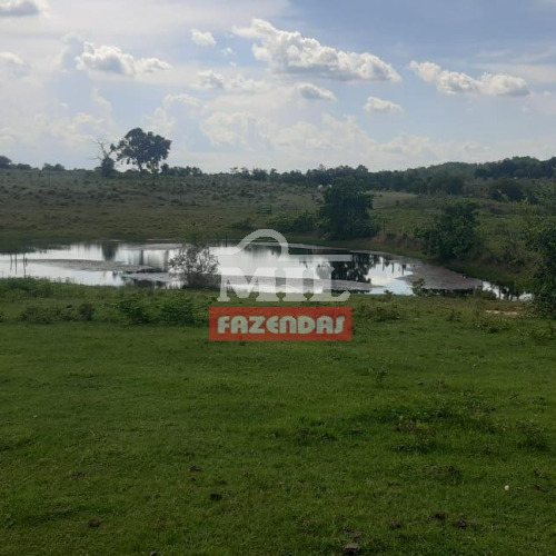 Fazenda 100 alqueires (484 hectares) Morzalandia -  GO