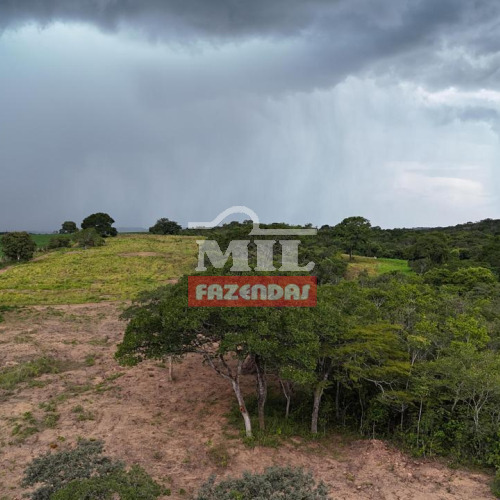 Chácara 2 alqueires (9,68 hectares) Piracanjuba - GO