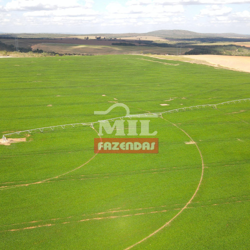 Fazenda 303,01 Alqueires (1.470 hectares) Paracatu - MG