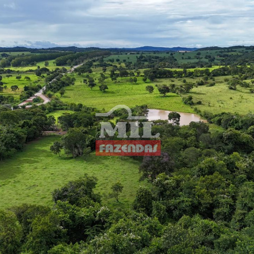Chácara 3,26 alquieres (15,78 hectares) Cezarina - Go