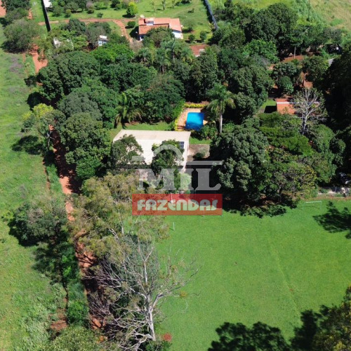 Chácara 11.000M² Senador Canedo - GO