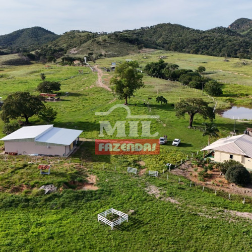 Fazenda 100 Alqueires (484 hectares) Goiás - GO