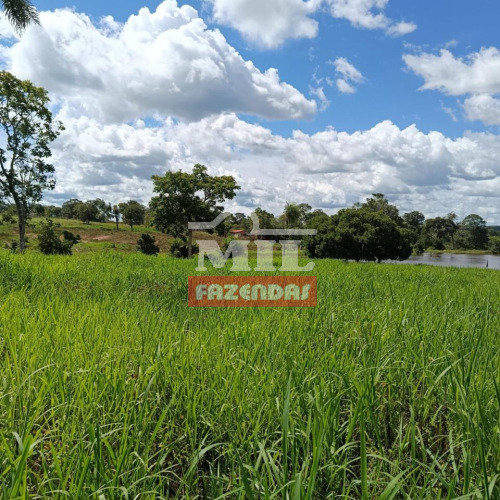 Fazenda 90 alqueires (435,6 hectares) Amaralina - Go