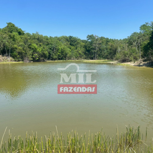 Chacara 7 alqueires (33.88 hectares) Cezarina - GO